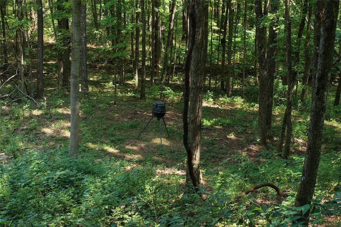 40 Acre Hunting Property For Sale in Madison County, Arkansas