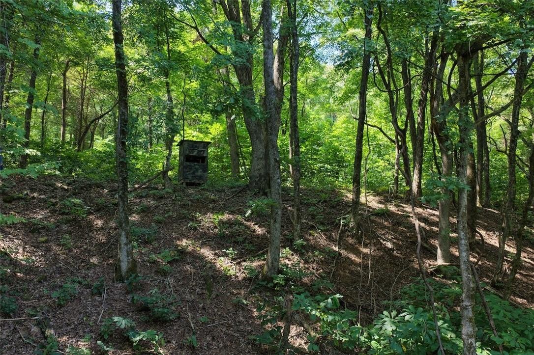 40 Acre Hunting Property For Sale in Madison County, Arkansas