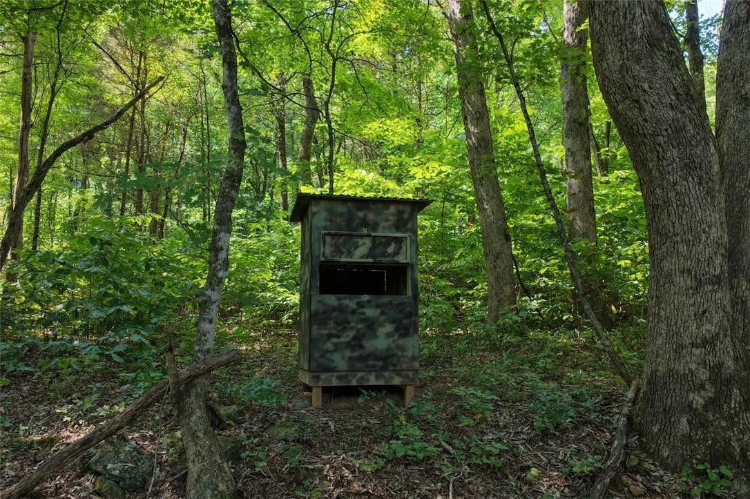 40 Acre Hunting Property For Sale in Madison County, Arkansas