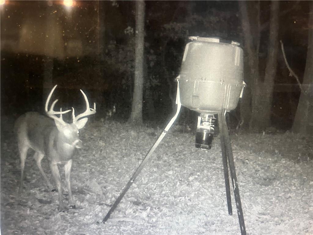 40 Acre Hunting Property For Sale in Madison County, Arkansas
