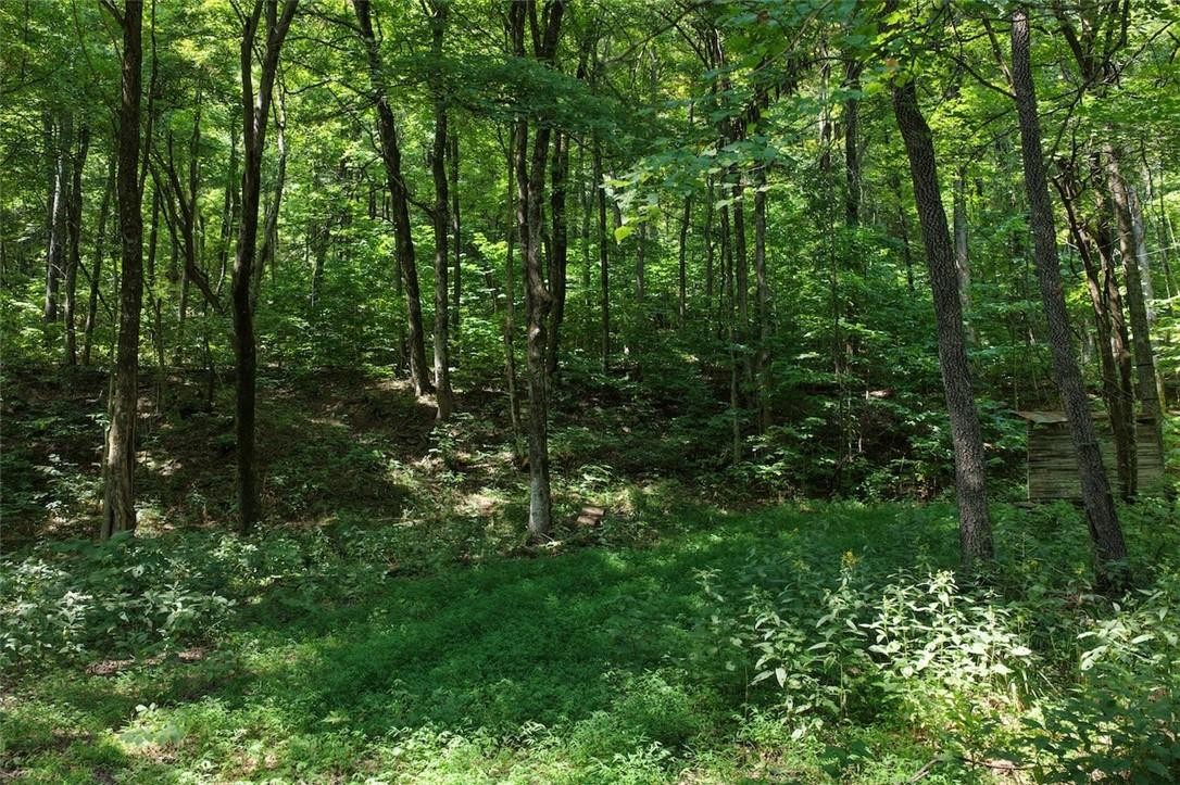 40 Acre Hunting Property For Sale in Madison County, Arkansas