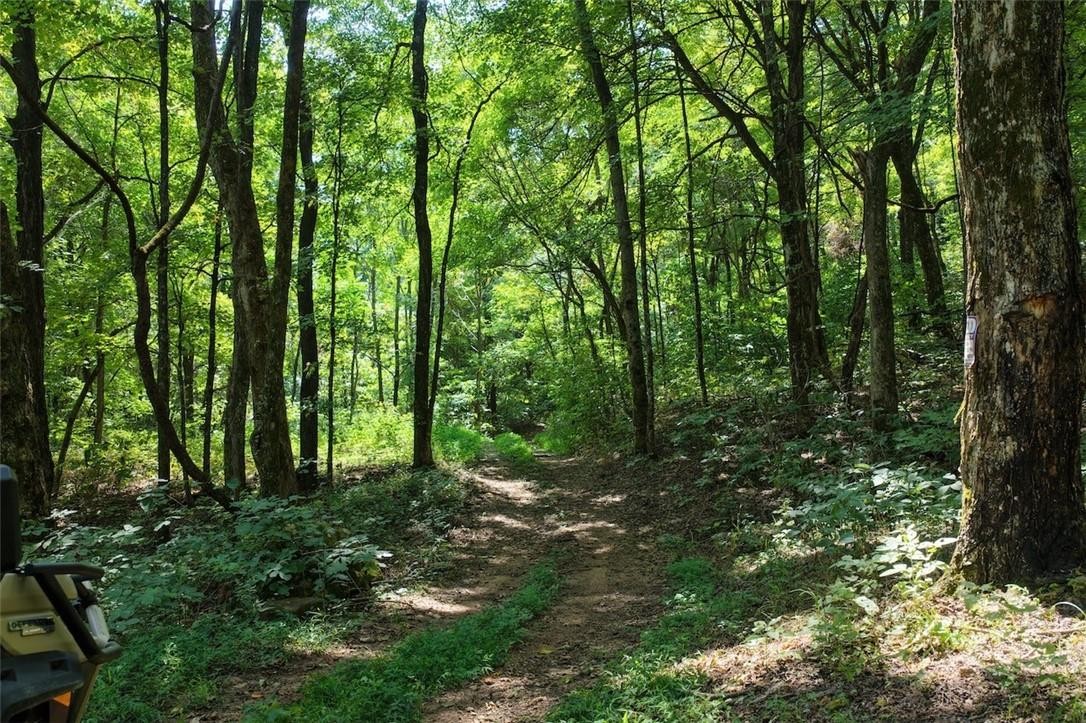 40 Acre Hunting Property For Sale in Madison County, Arkansas