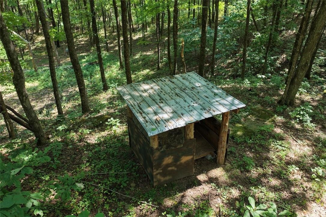 40 Acre Hunting Property For Sale in Madison County, Arkansas