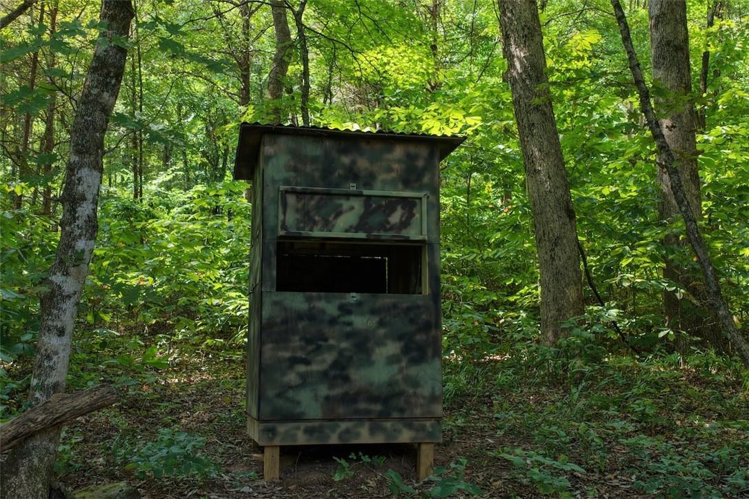 40 Acre Hunting Property For Sale in Madison County, Arkansas