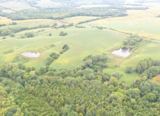 Hunter’s Paradise – 40 Acres…Row Crop, Timber, Building Potential