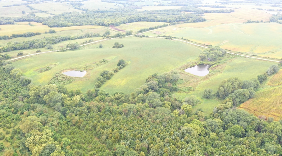 Hunter’s Paradise – 40 Acres…Row Crop, Timber, Building Potential