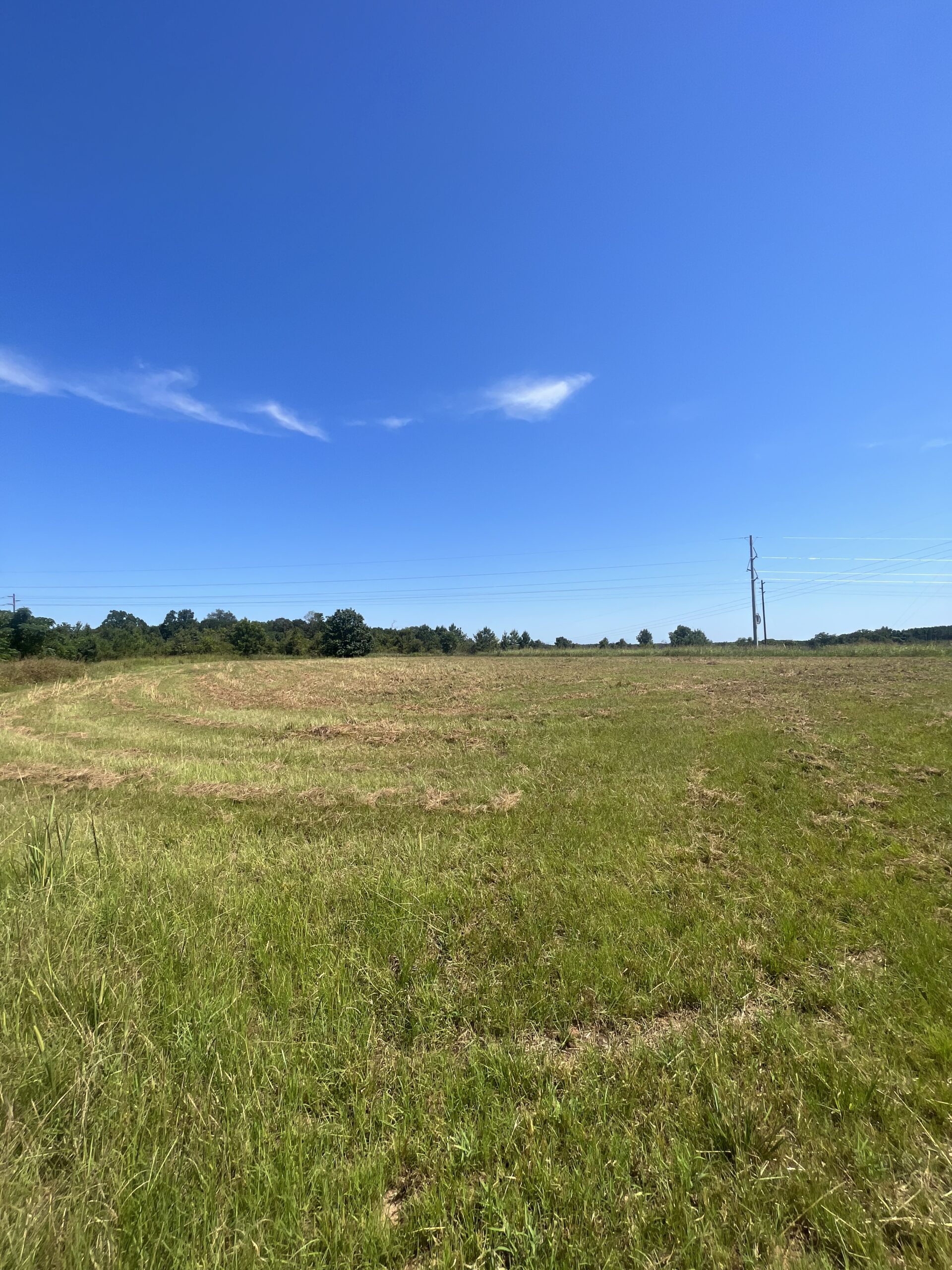 389 Acres Hunting & Timberland with Cabin in Autauga County, Alabama