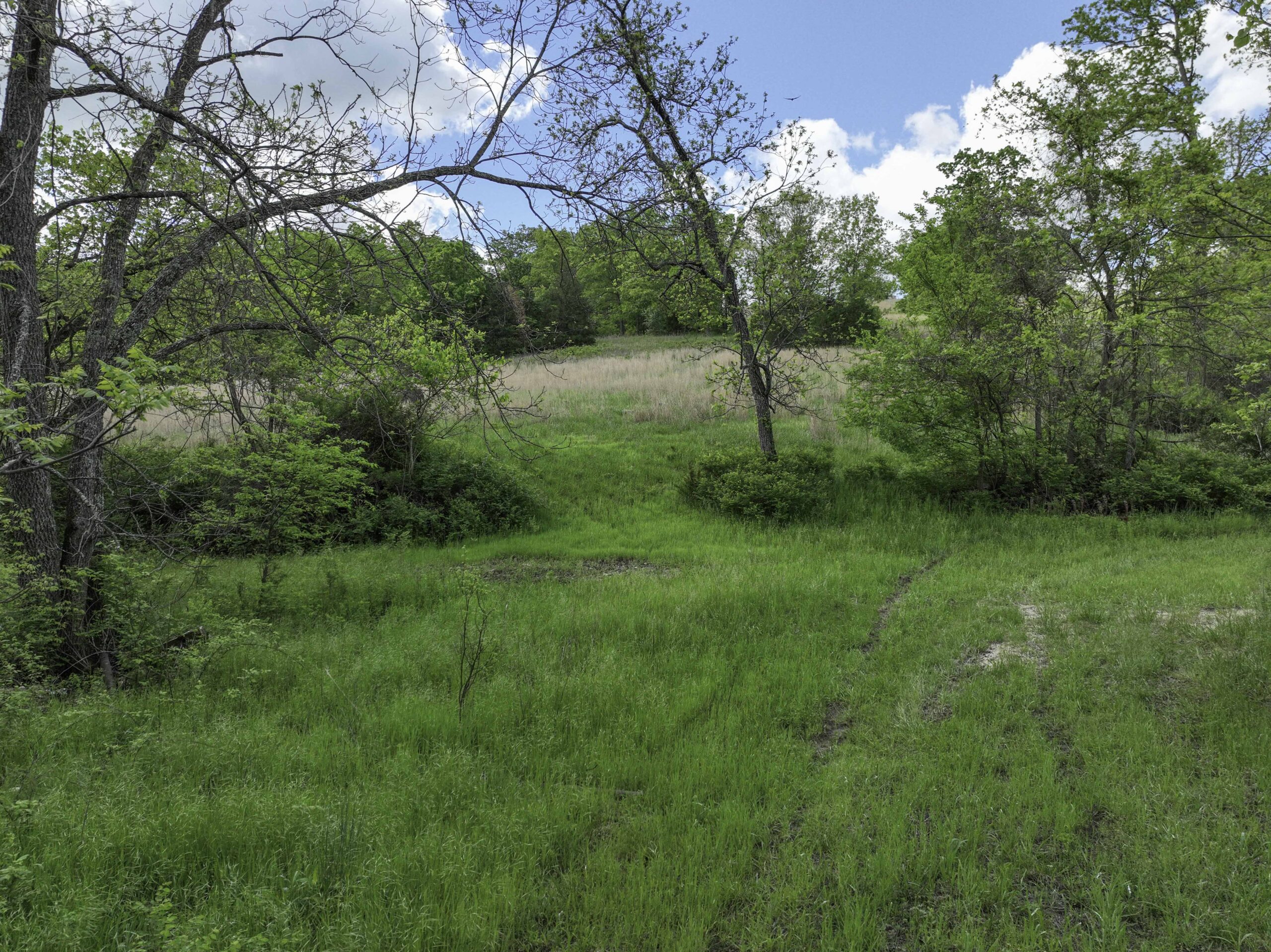 Douglas County, Missouri Hunting Land For Sale near Ava, Mo