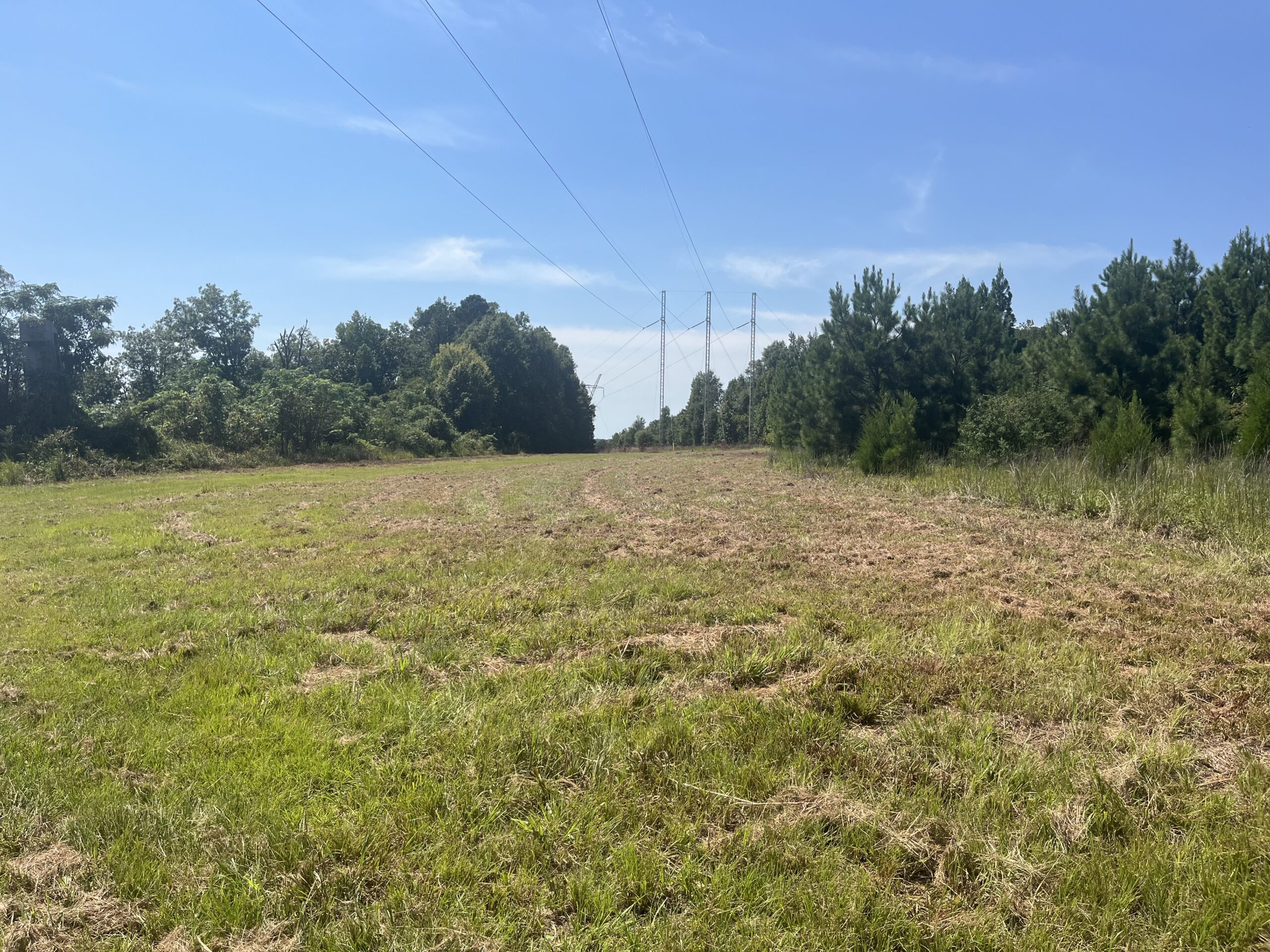 389 Acres Hunting & Timberland with Cabin in Autauga County, Alabama