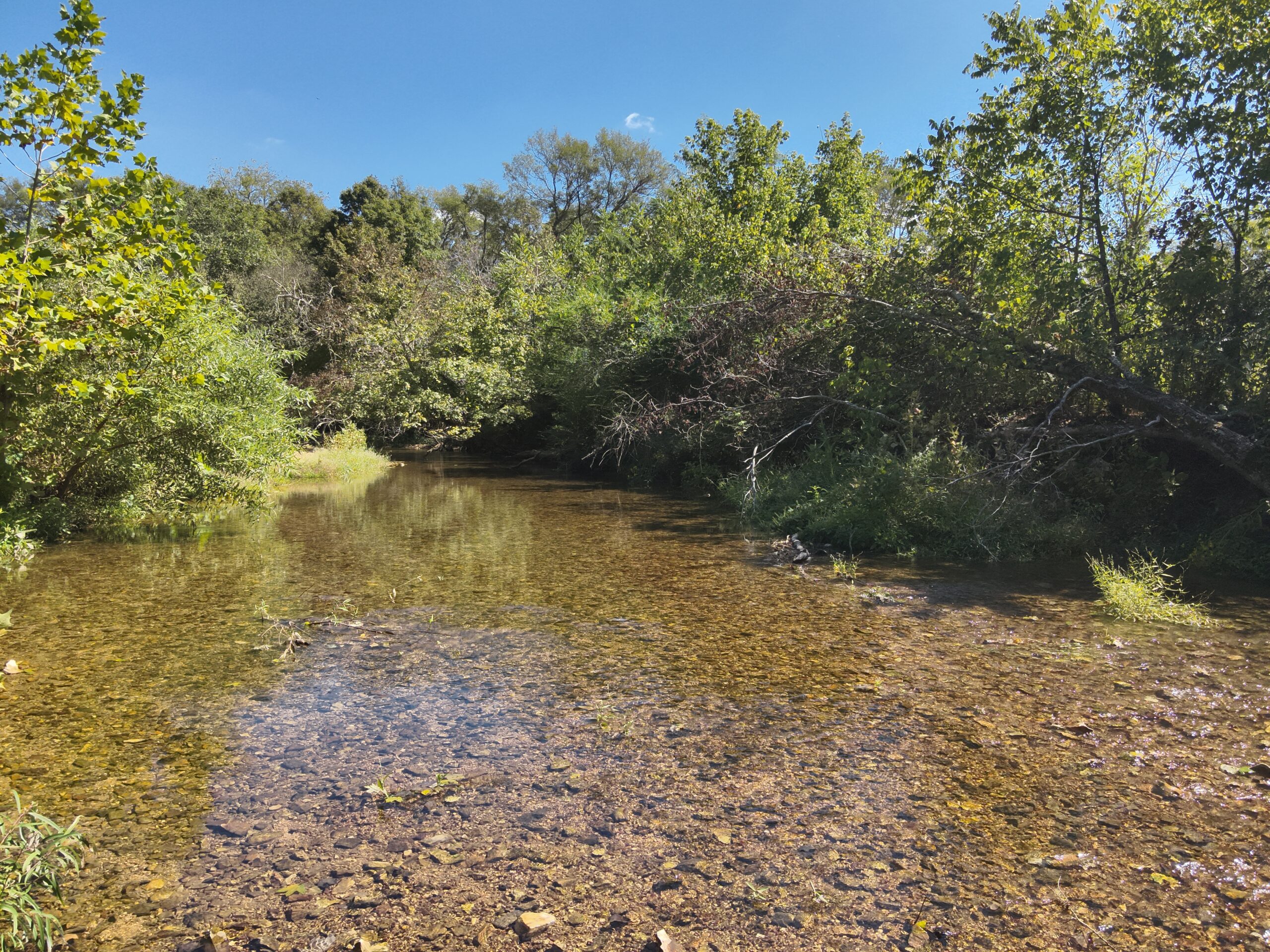 29.5 Acres of Land for Sale with Year Round Creek