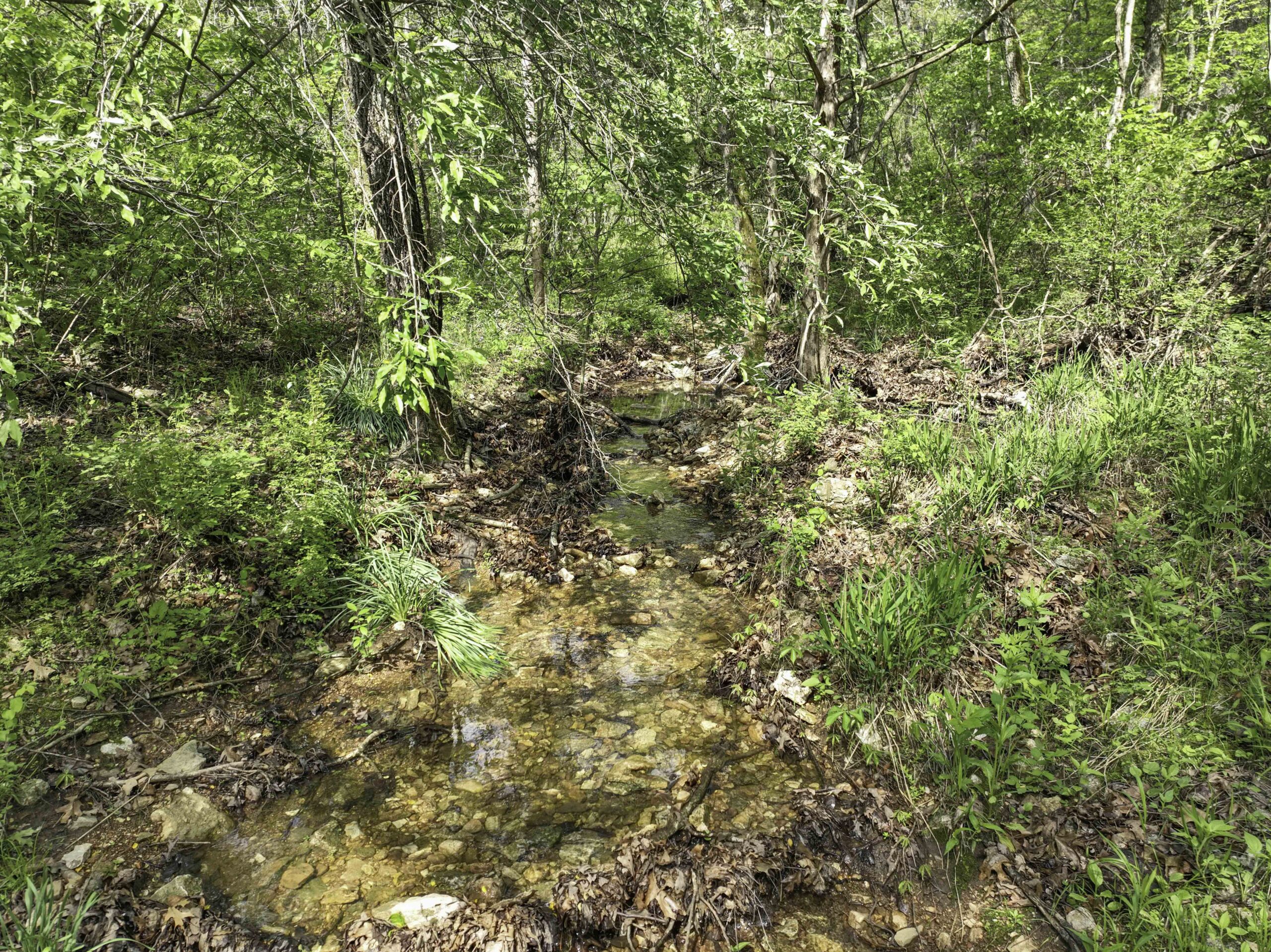 Douglas County, Missouri Hunting Land For Sale near Ava, Mo