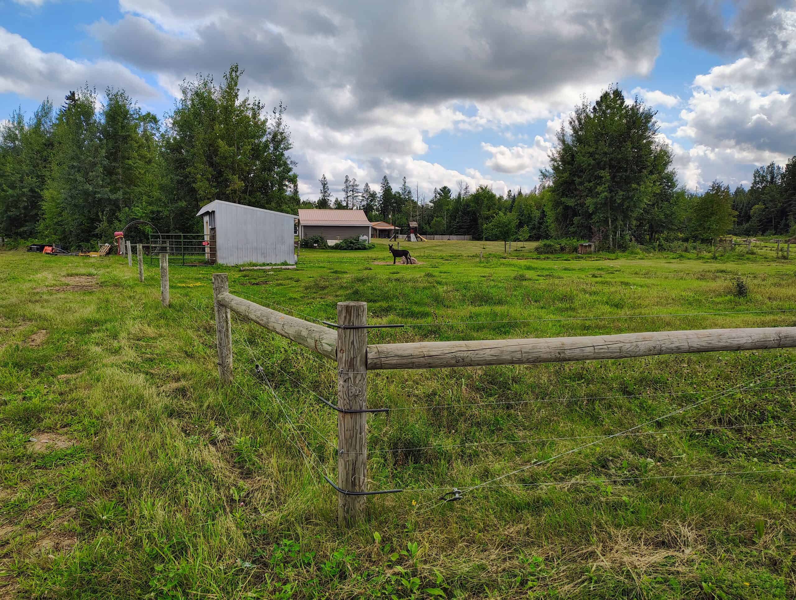 Country Home with Acreage for Sale in Glidden, WI