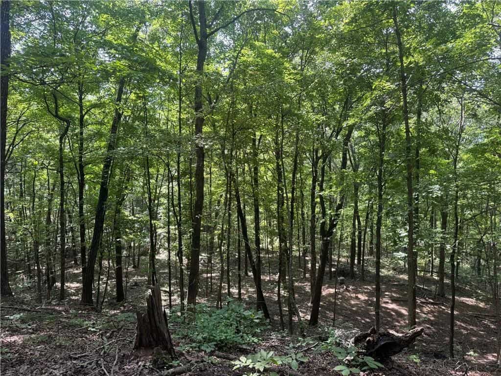 Prime Madison County, Ar 40 Acres Hunting Land Near White Rock Wildlife Mgmt Area For Sale