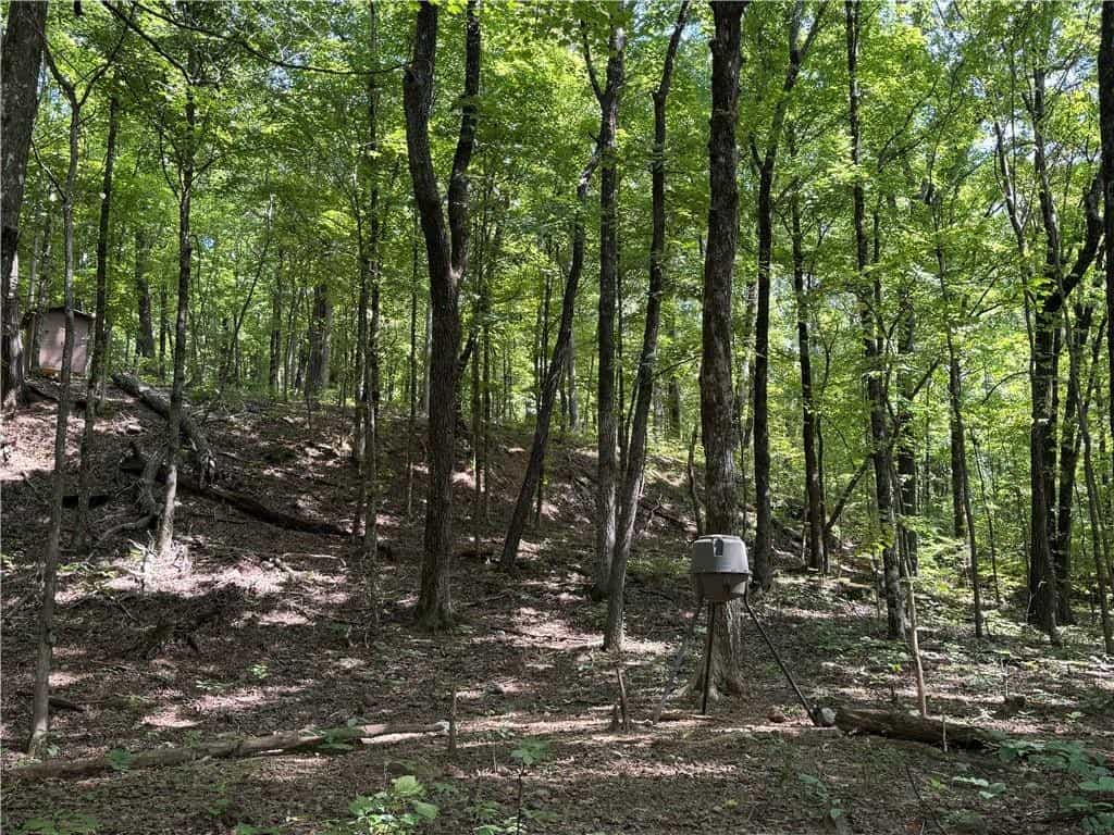 Prime Madison County, Ar 40 Acres Hunting Land Near White Rock Wildlife Mgmt Area For Sale