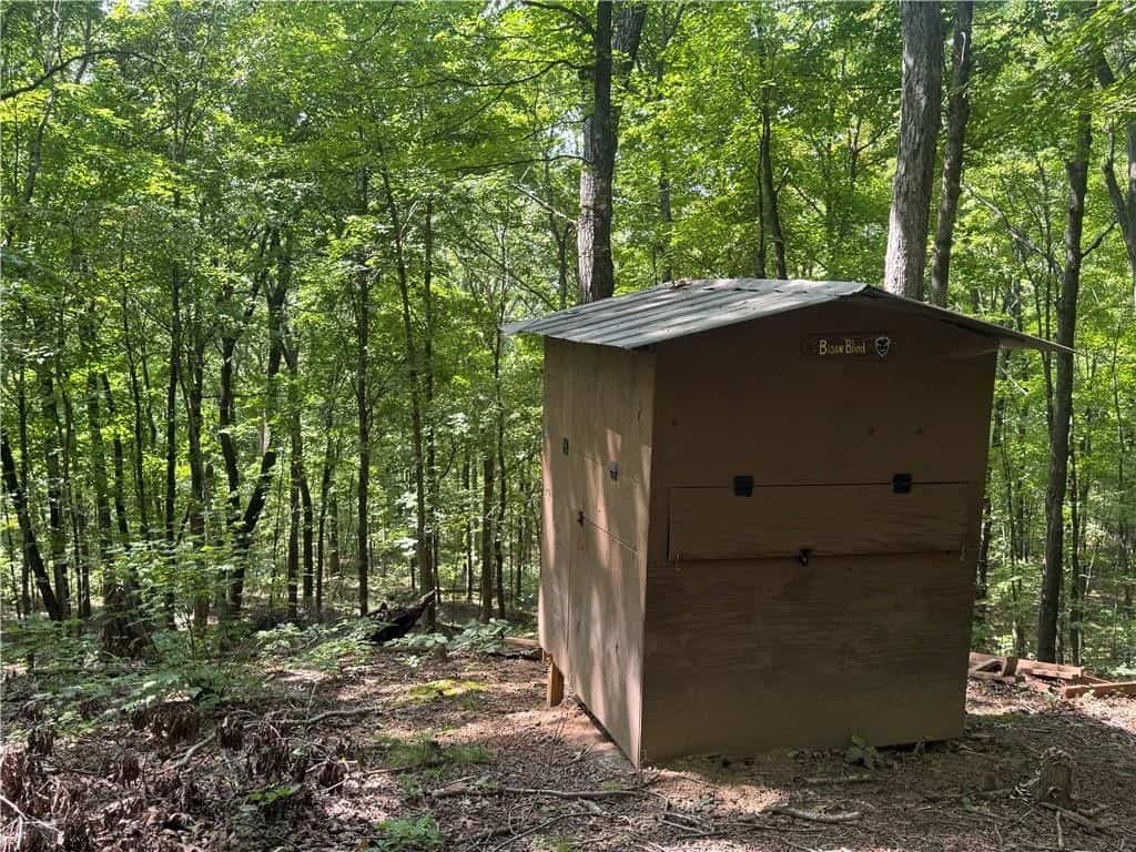 Prime Madison County, Ar 40 Acres Hunting Land Near White Rock Wildlife Mgmt Area For Sale