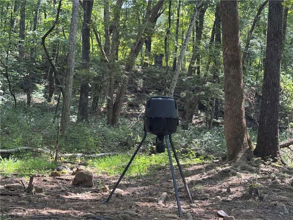 Prime Madison County, Ar 40 Acres Hunting Land Near White Rock Wildlife Mgmt Area For Sale