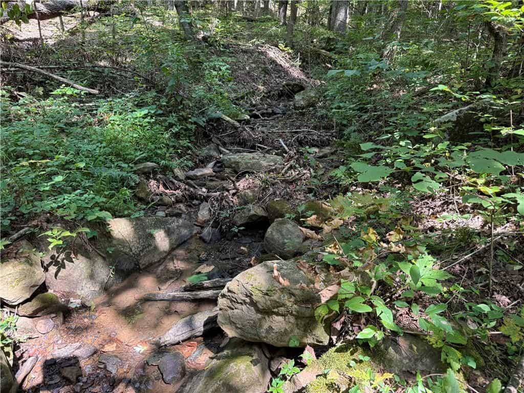 Prime Madison County, Ar 40 Acres Hunting Land Near White Rock Wildlife Mgmt Area For Sale