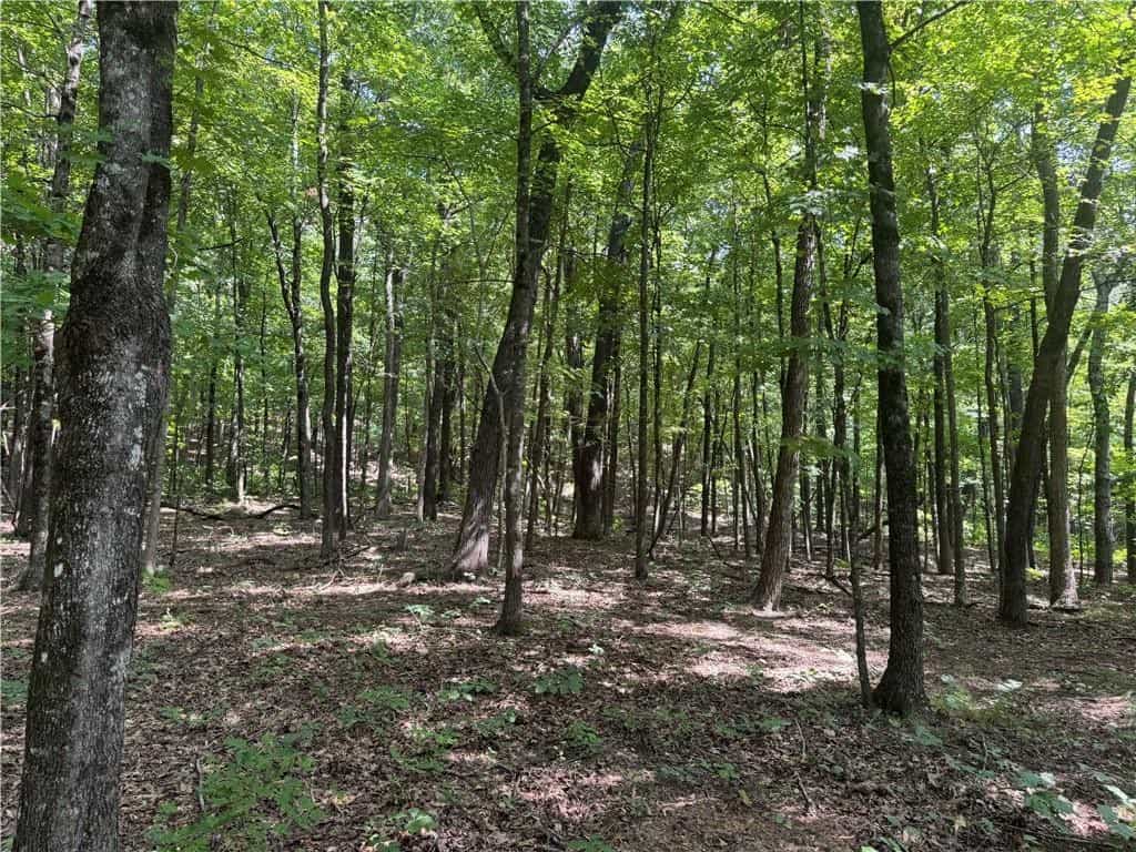 Prime Madison County, Ar 40 Acres Hunting Land Near White Rock Wildlife Mgmt Area For Sale