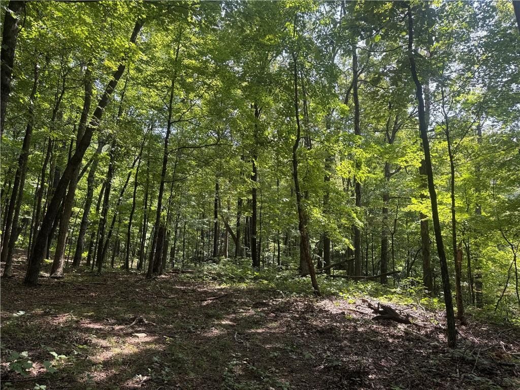 Prime Madison County, Ar 40 Acres Hunting Land Near White Rock Wildlife Mgmt Area For Sale