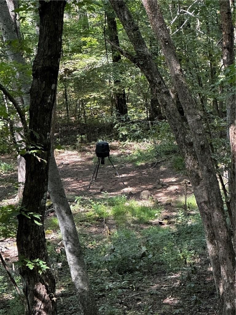 Prime Madison County, Ar 40 Acres Hunting Land Near White Rock Wildlife Mgmt Area For Sale