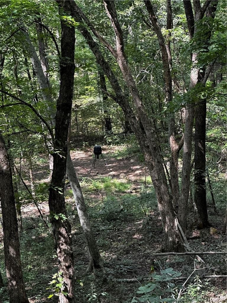 Prime Madison County, Ar 40 Acres Hunting Land Near White Rock Wildlife Mgmt Area For Sale