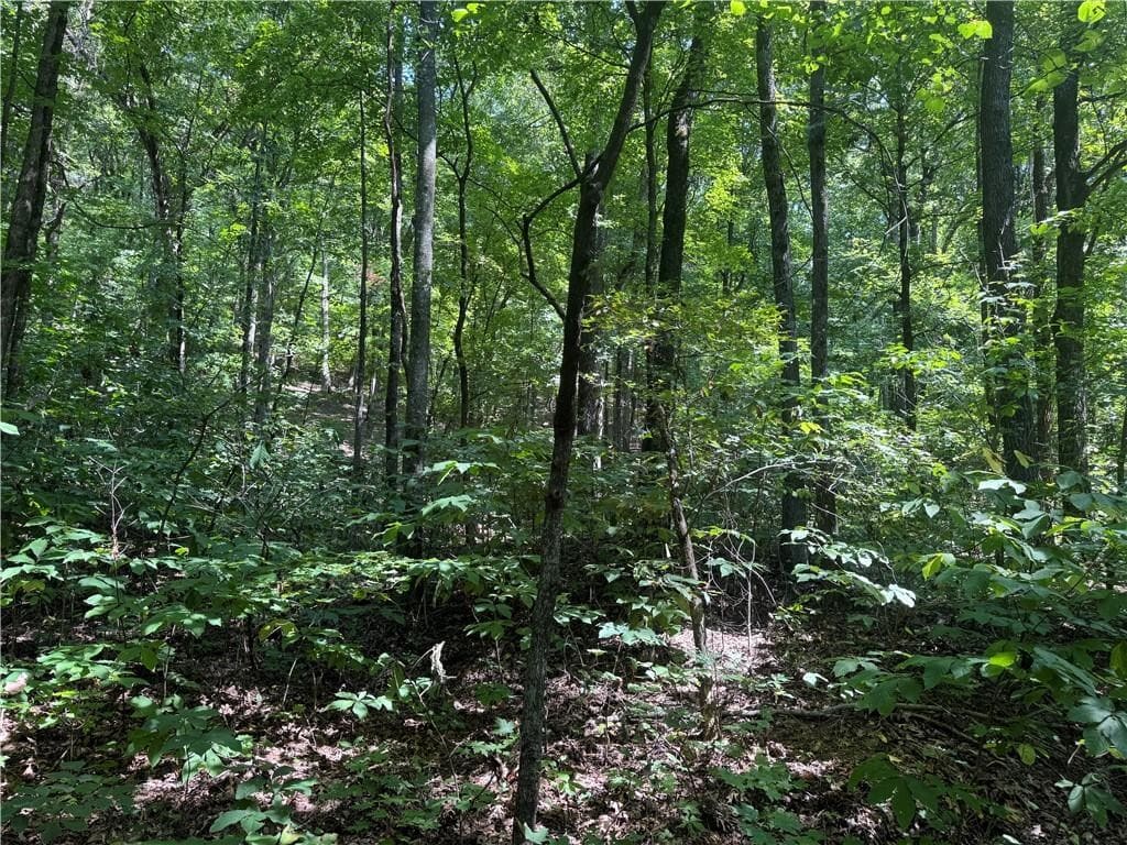Prime Madison County, Ar 40 Acres Hunting Land Near White Rock Wildlife Mgmt Area For Sale