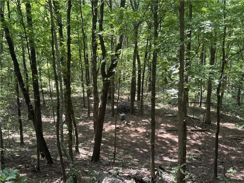 Prime Madison County, Ar 40 Acres Hunting Land Near White Rock Wildlife Mgmt Area For Sale