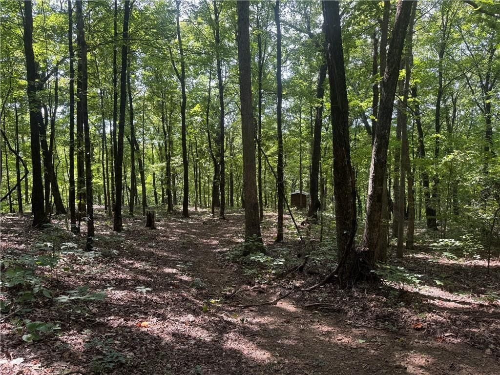 Prime Madison County, Ar 40 Acres Hunting Land Near White Rock Wildlife Mgmt Area For Sale