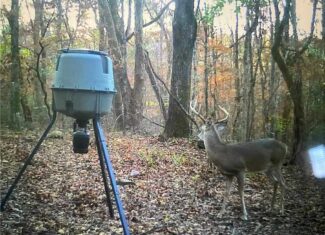 Prime Madison County, Ar 40 Acres Hunting Land Near White Rock Wildlife Mgmt Area For Sale