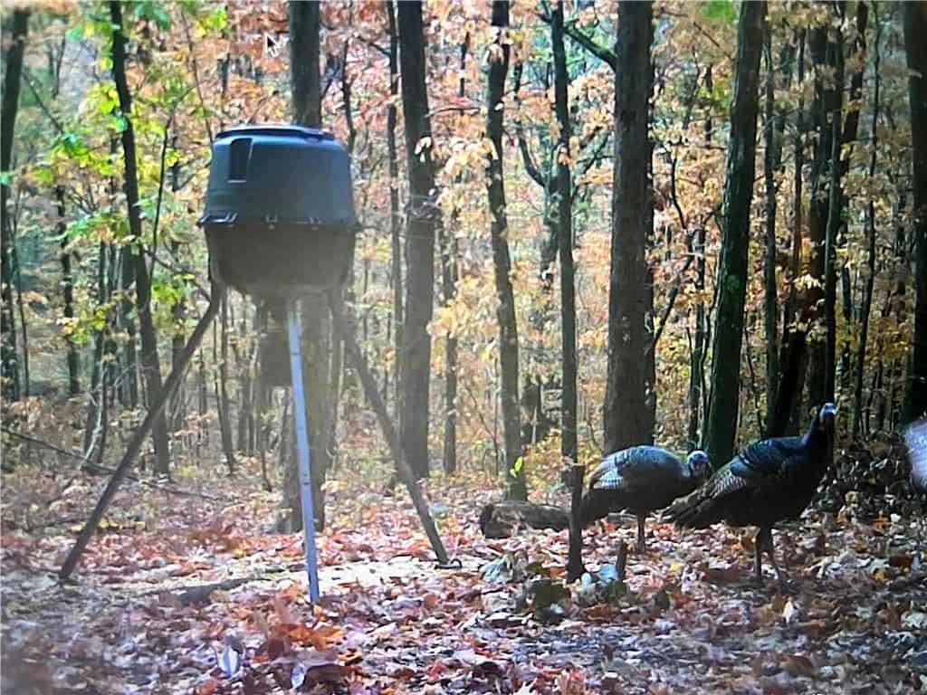 Prime Madison County, Ar 40 Acres Hunting Land Near White Rock Wildlife Mgmt Area For Sale