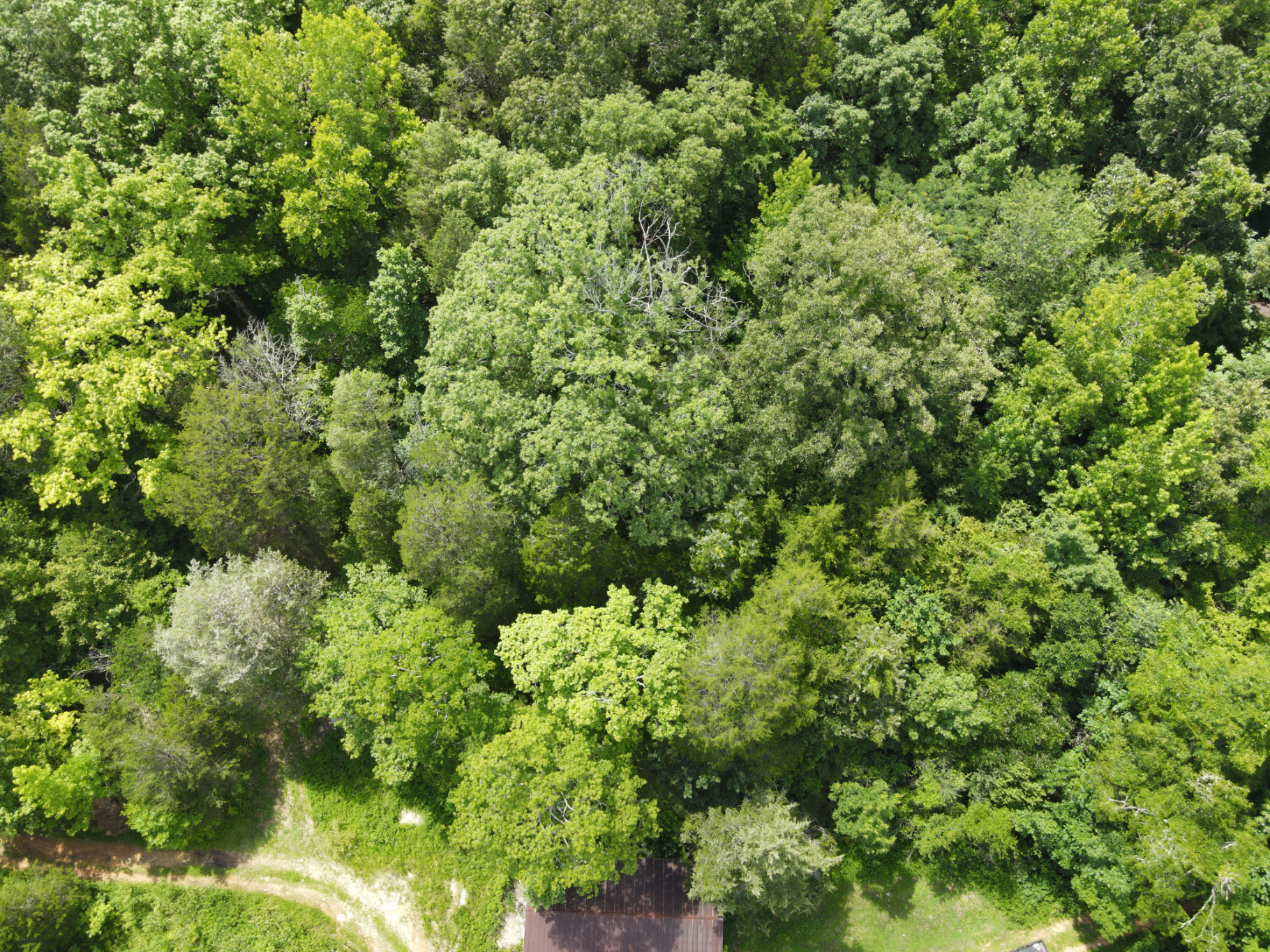 DEER HUNTING PROPERTY FOR SALE IN TN