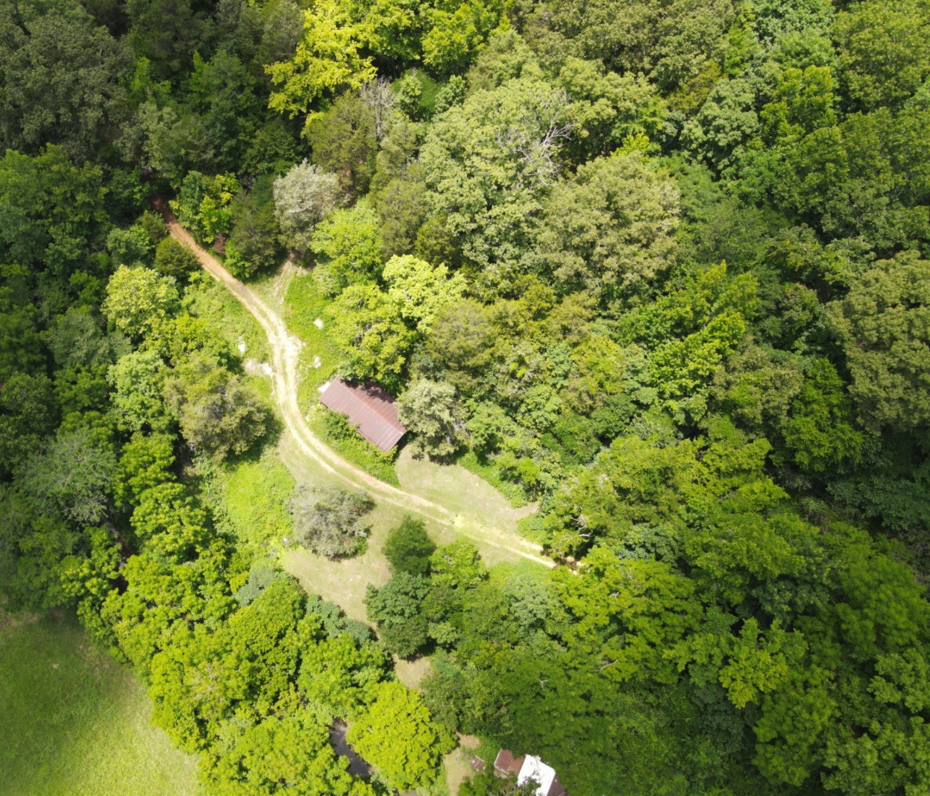 DEER HUNTING PROPERTY FOR SALE IN TN
