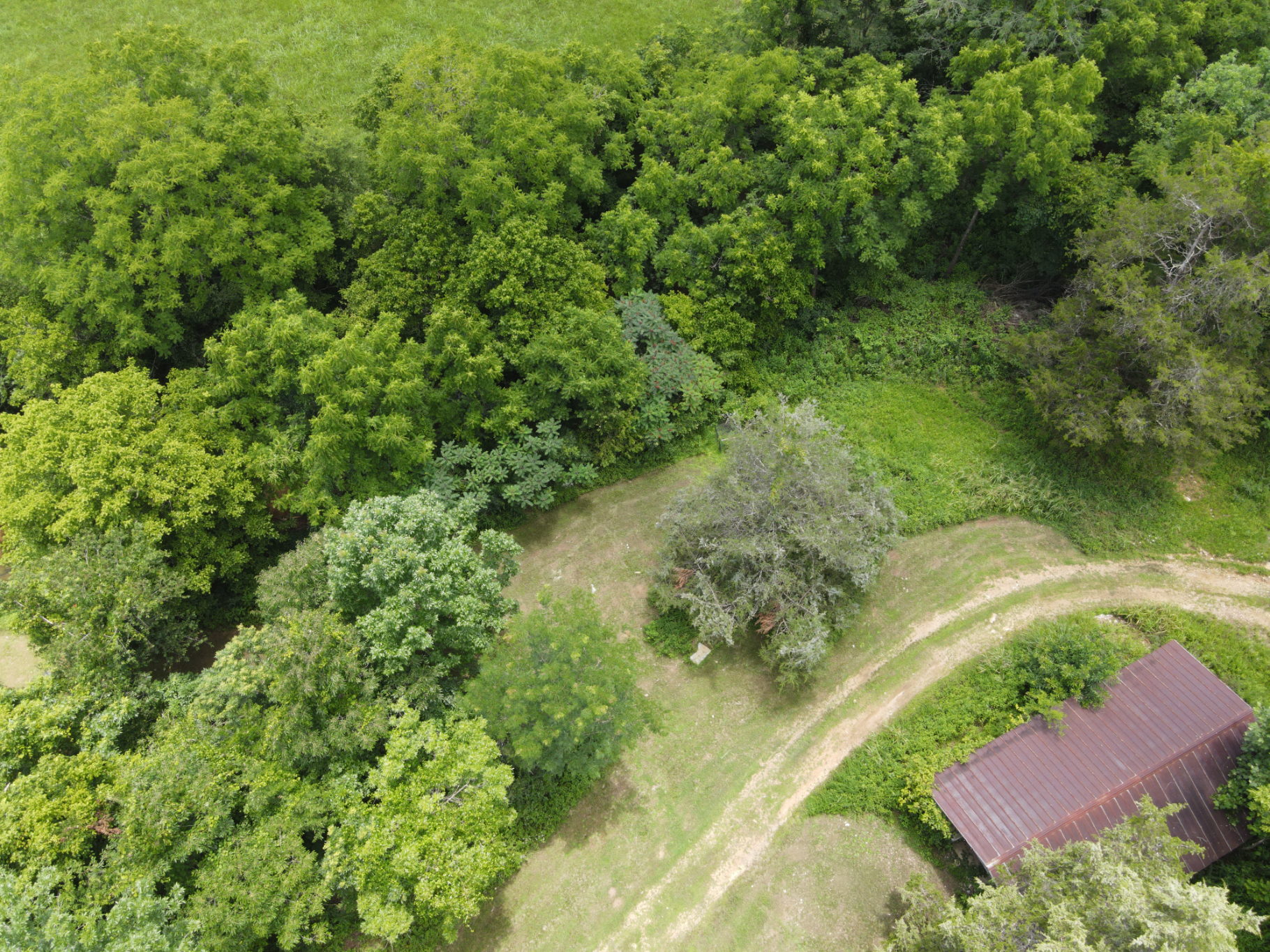 DEER HUNTING PROPERTY FOR SALE IN TN