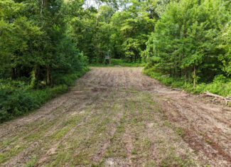 Lorman, MS Hunting Property near the Mississippi River
