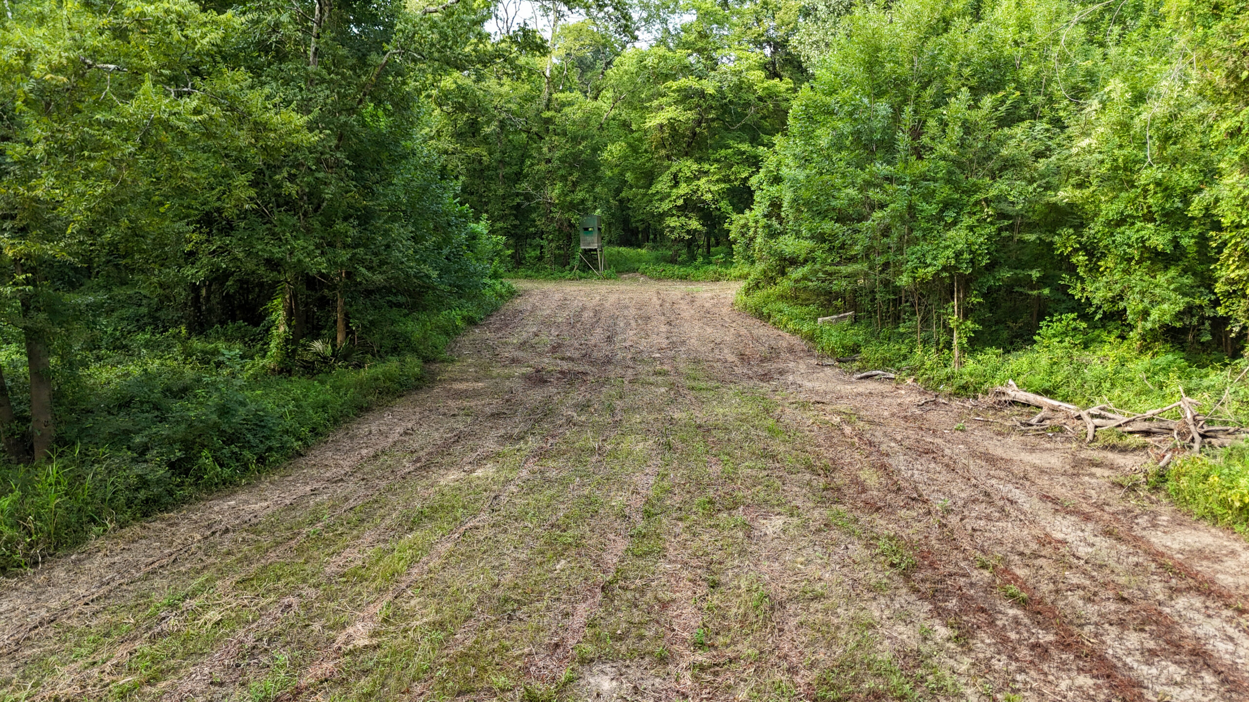 Lorman, MS Hunting Property near the Mississippi River