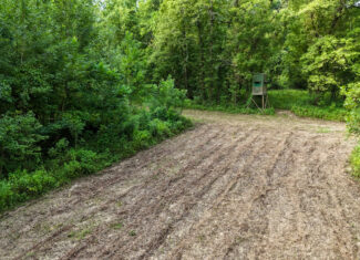 Lorman, MS Hunting Property near the Mississippi River