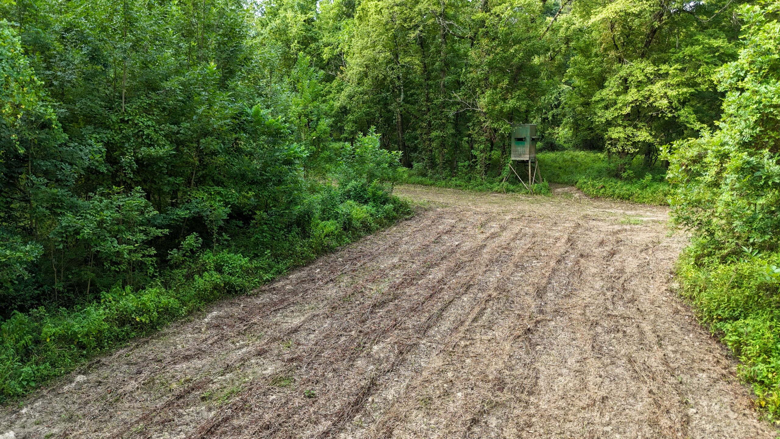 Lorman, MS Hunting Property near the Mississippi River