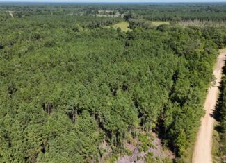 Hunting & Timberland For Sale in Union Parish-Traylor Place
