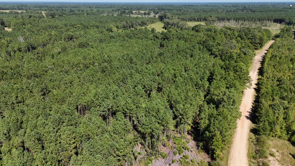 Hunting & Timberland For Sale in Union Parish-Traylor Place