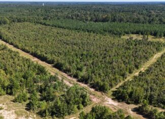 Hunting & Timberland For Sale in Union Parish-Traylor Place