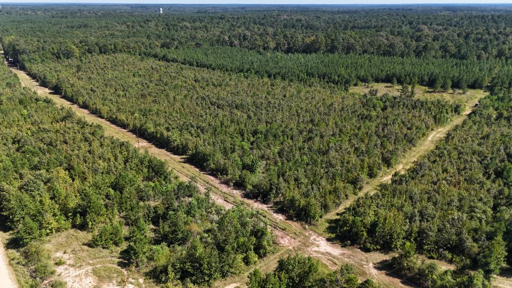 Hunting & Timberland For Sale in Union Parish-Traylor Place