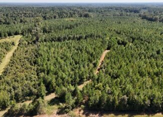Hunting & Timberland For Sale in Union Parish-Traylor Place