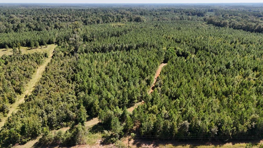 Hunting & Timberland For Sale in Union Parish-Traylor Place
