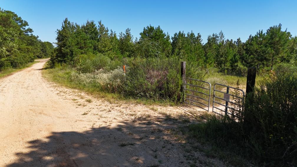 Hunting & Timberland For Sale in Union Parish-Traylor Place