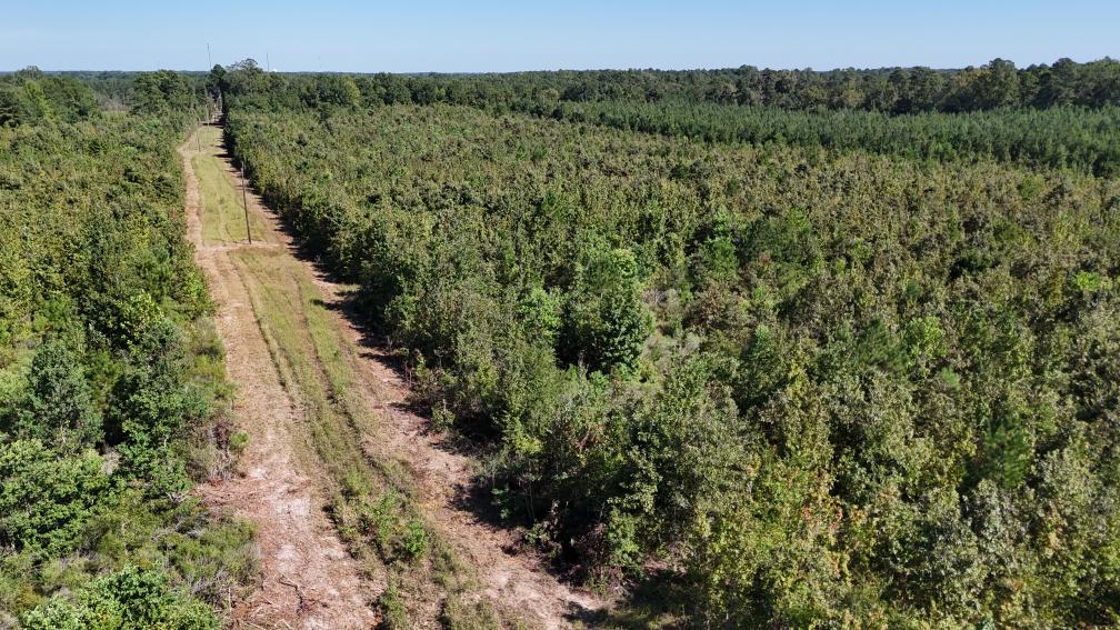 Hunting & Timberland For Sale in Union Parish-Traylor Place