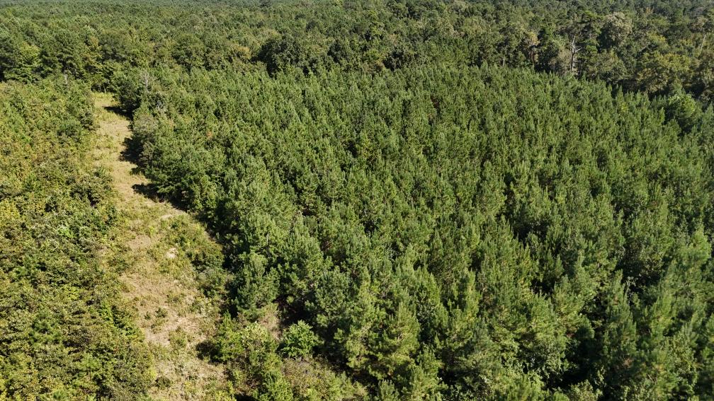 Hunting & Timberland For Sale in Union Parish-Traylor Place