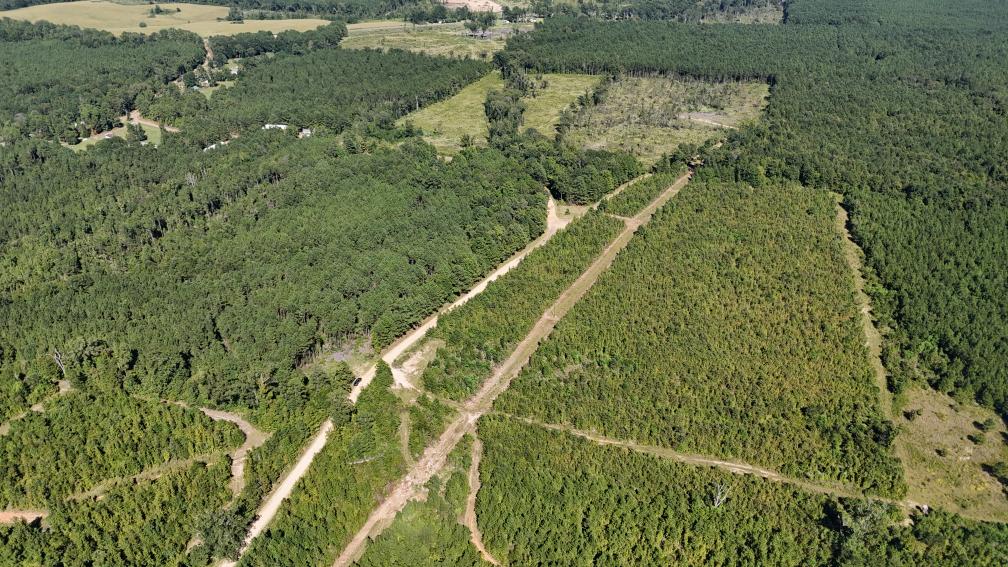 Hunting & Timberland For Sale in Union Parish-Traylor Place