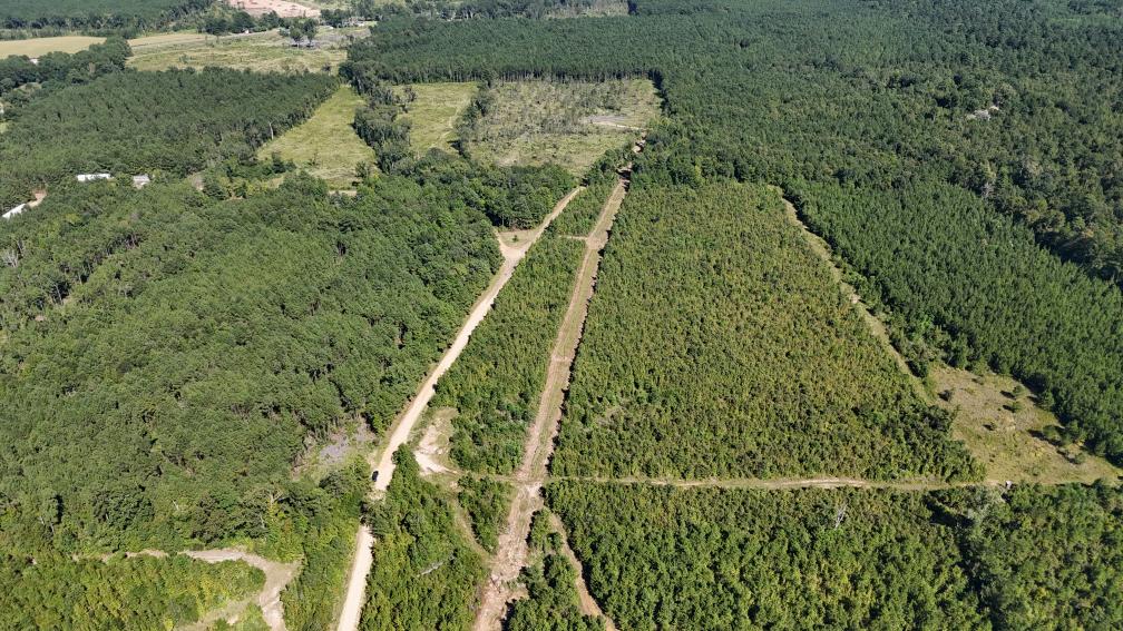 Hunting & Timberland For Sale in Union Parish-Traylor Place