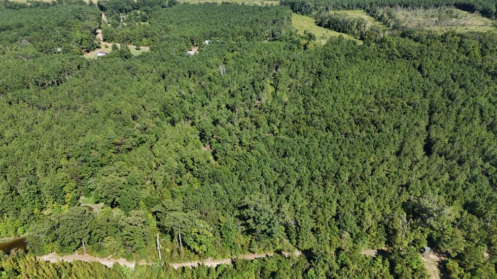 Hunting & Timberland For Sale in Union Parish-Traylor Place