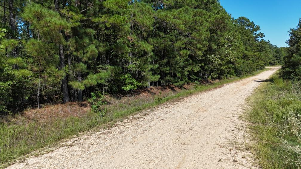 Hunting & Timberland For Sale in Union Parish-Traylor Place